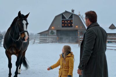 Rogue Mustang Horse Refuses All Riders Until A Little Girl Approaches — What Follows Is Beautiful! In the rug